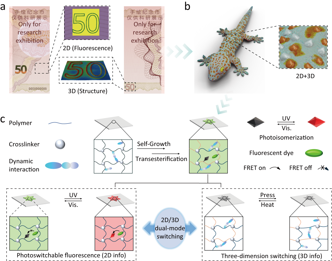 4e05350897c44ba3a487f2566485a26d.bmp 1.bmp